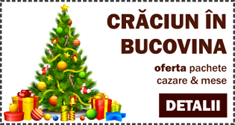 Oferta Craciun in Bucovina